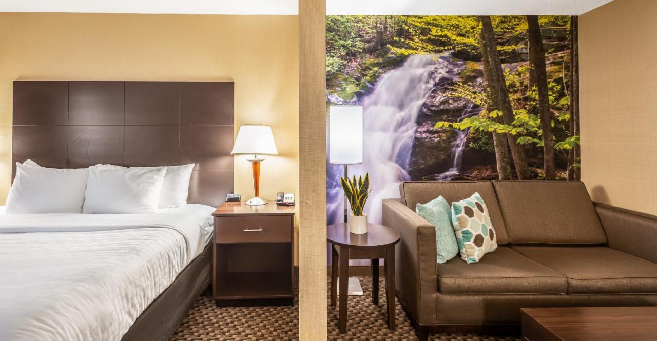Clarion Pointe 3*